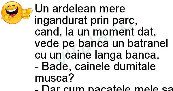 Ardeleanul in parc