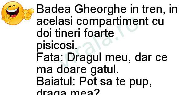 Badea Gheorghe in tren