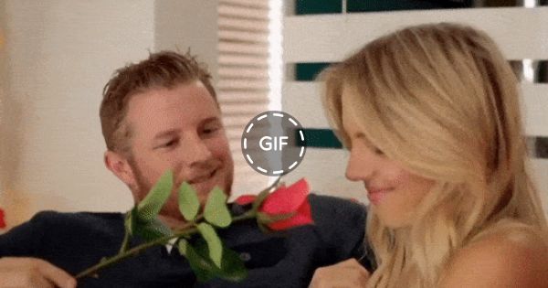 Cand tu ii dai ca boul un trandafir 🌹