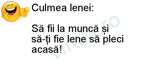 Culmea lenei