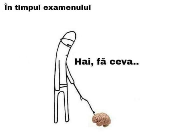 In timpul examenului