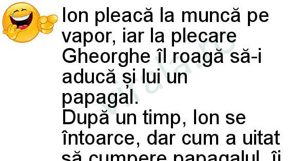 Ion la munca pe vapor