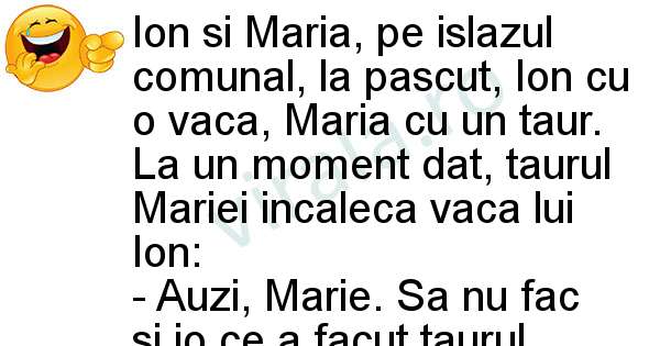 Ion si Maria pe islaz