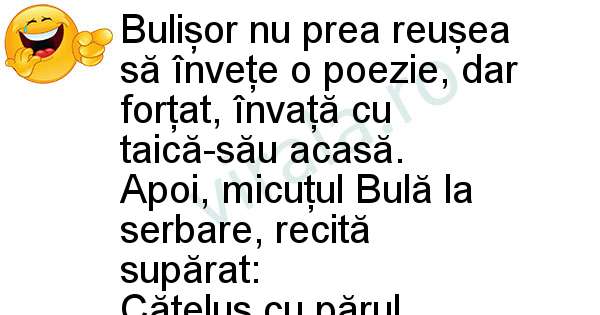 Micutul Bula la serbare