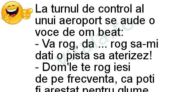 Pilotul la aterizare