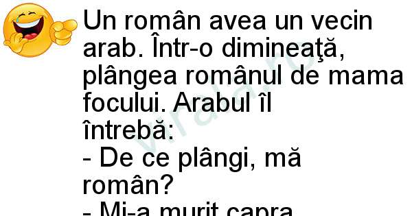 Romanul si vecinul arab