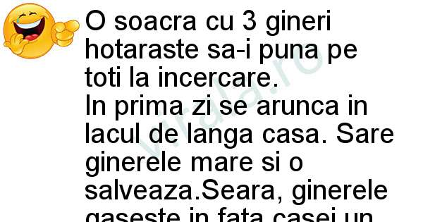 Soacra cu 3 gineri