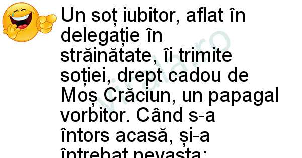 Sotul in strainatate