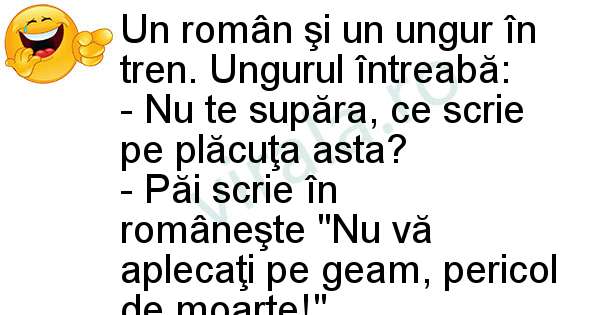 Un roman si un ungur în tren